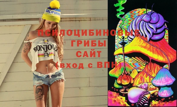 мяу мяу мука Абаза