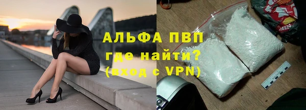 мяу мяу мука Абаза
