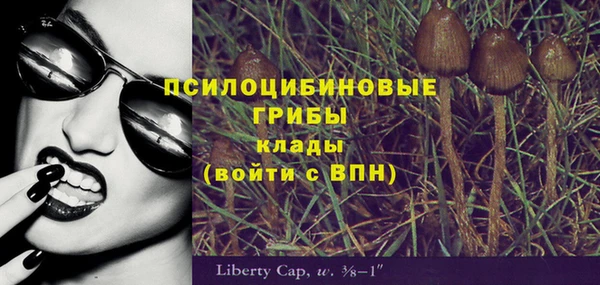 мяу мяу мука Абаза